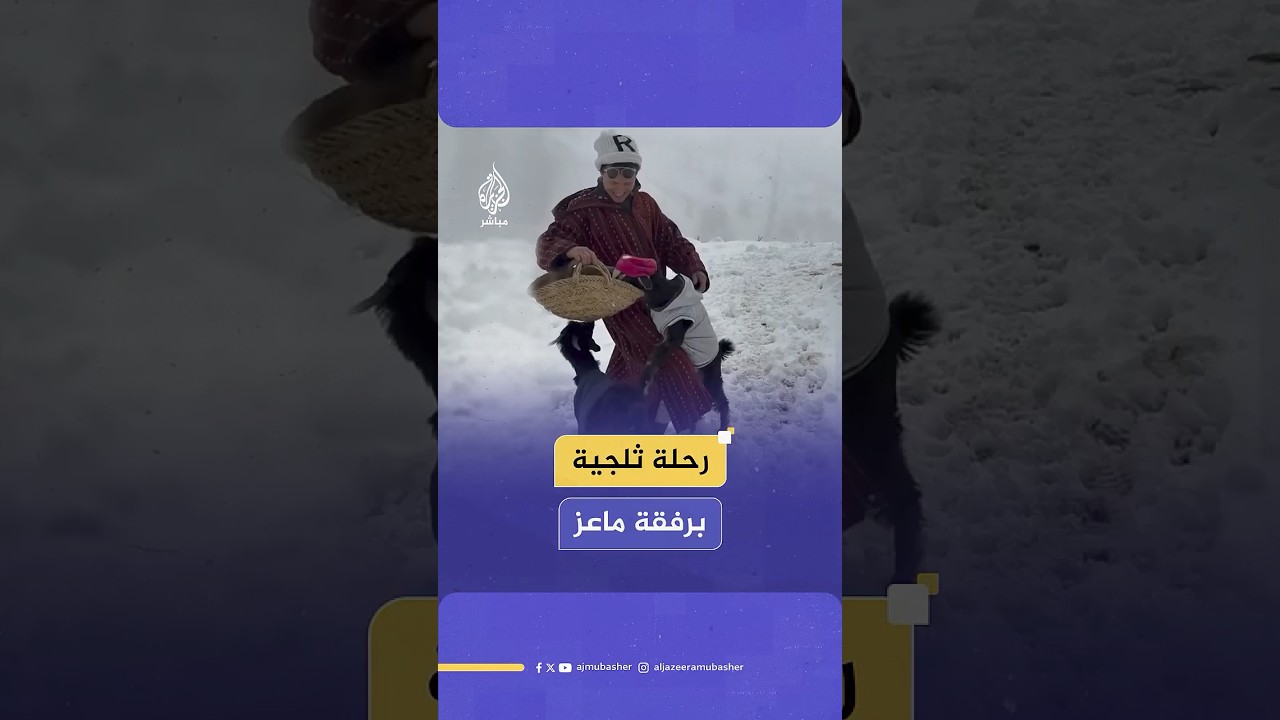 شاب مغربي يستمتع برفقة "ماعزين" في الجبال التي تغطيها الثلوج