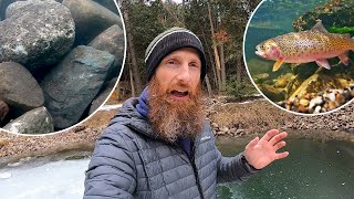 MUDDY Fish Pond Turned CRYSTAL CLEAR (reveal!!!) | Super Deep, Strange Grain Bin, Underwater Cam