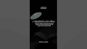 ما تيسر من سورة الجاثية❤️🫀| راحة نفسية عميقة 🤍
