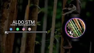 LAGU ACARA REGGAE REMIX TERBARU BY ALDO STM🎧