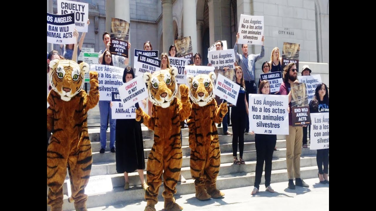 PETA protests the exhibition of wild animals in Los Angeles