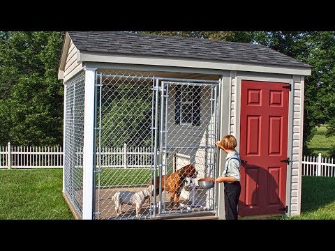 insulated-dog-house-for-summer