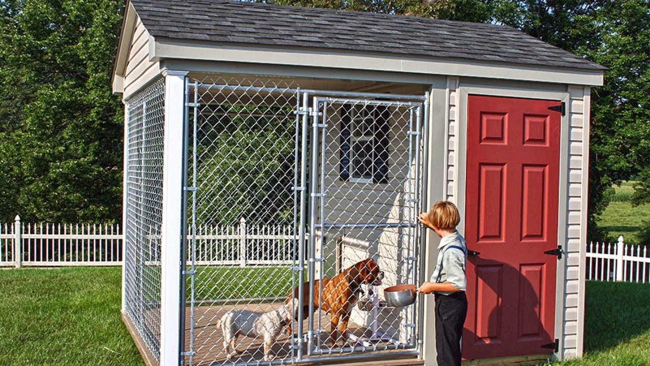 insulated dog shed