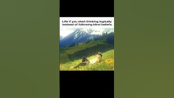 Life if you start thinking logically #logic #blindfaith #memes