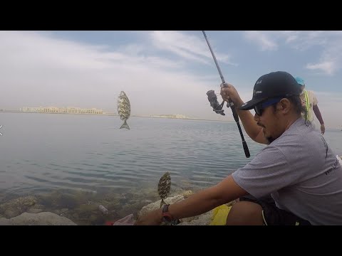 Daming Danggit or Rabbit fish - YouTube