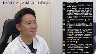 Miyata Animal Hospital Live Stream [MAH Channel] - YouTube
