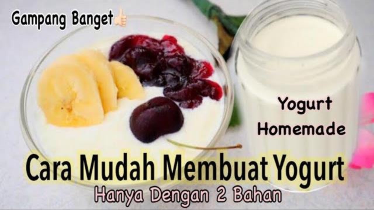 Cara Mudah Membuat Yogurt | Yogurt homemade hanya 2bahan