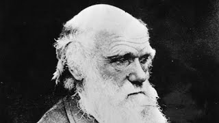 2 missing Charles Darwin notebooks are mysteriously returned more than 20