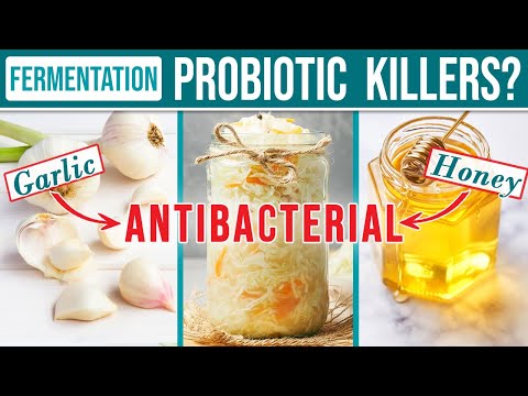Do Garlic Honey Kill Probiotics in Fermentation