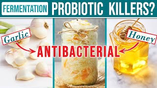 Do Garlic & Honey Kill Probiotics in Fermentation?