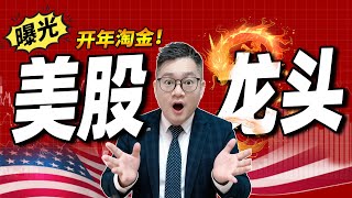 开年淘金！美股5大龙头曝光！｜#MU｜#LMT｜#美股｜#股票｜JohnLu谈股 #股票分析
