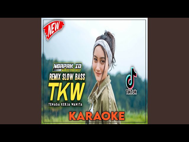 DJ TKW Karaoke Slow Bass Remix class=