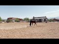 Jami Rodriguez & Lazy Butt Perfect, August Summer 2024, Class 22: Western Horsemanship Open