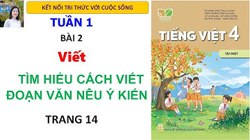 Tiếng Việt 4| Bài 2 | Viết Tìm hiểu cách viết đoạn văn nêu ý kiến|  Kết nối tri thức
