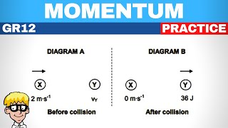 Exam question momentum gr 12