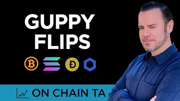 Bitcoin Guppy Flips - On Chain Technische Analyse