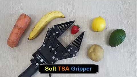 Food grasping with Fin-ray based TSA gripper