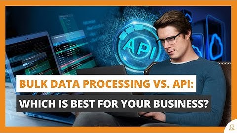 Bulk Data Processing vs API — Which Is Best for Your Business?