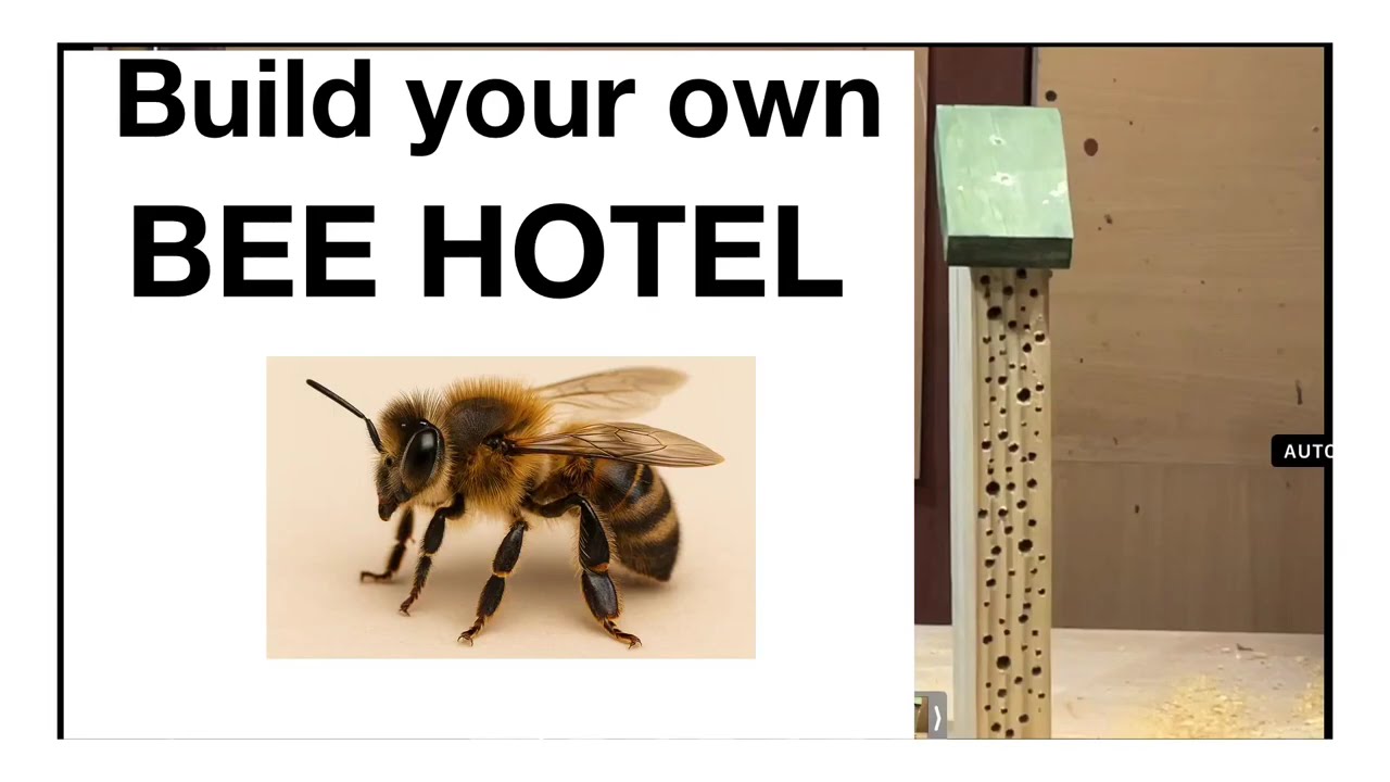 Build a Bee Hotel – Easy DIY for Wildlife Lovers.