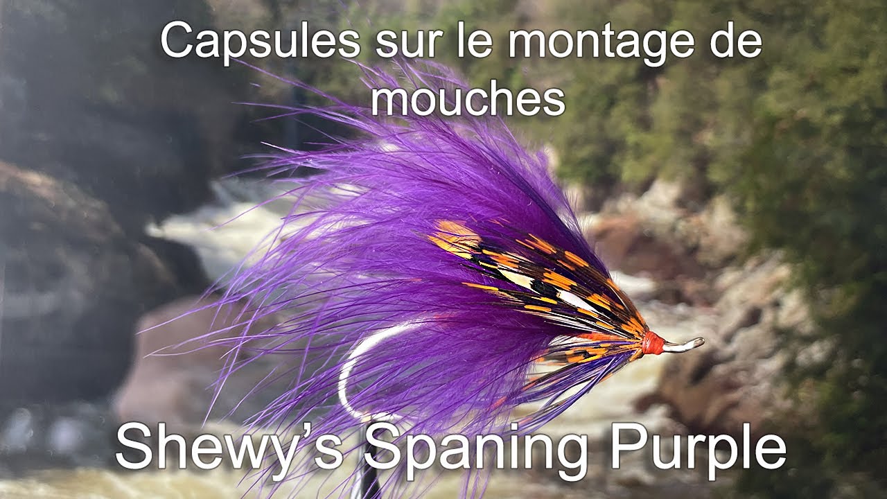 79- Shewy's Spawning Purple HD