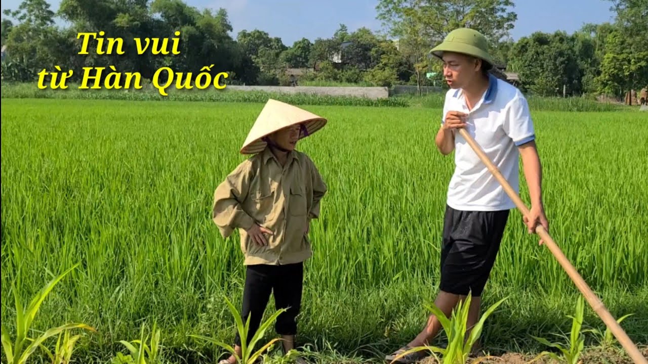 Báo tin vui từ Hàn Quốc cho A Đông tí hon có 2 con... - youtube