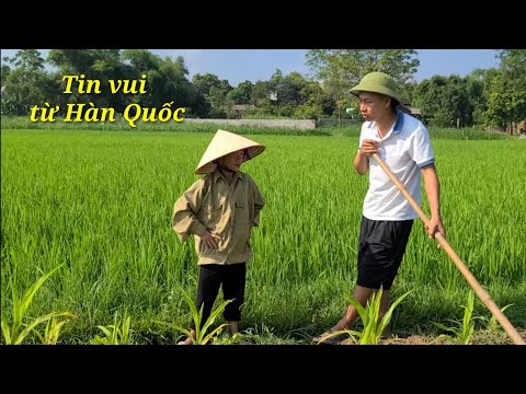 Video Báo tin vui từ Hàn Quốc cho A Đông tí hon có 2 con... - youtube