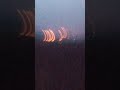 عاجل خروج جبال تبسة عن السيطرة ربي يقدر الخير تبسة تستغيث عاجل خروج جبال تبسة عن السيطرة ربي يقدر الخير تبسة تستغيث