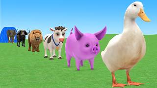 Long Slide Game With Cow Elephant Gorilla Hippopotamus Tiger 3d Animal Game Funny 3d Animals screenshot 3