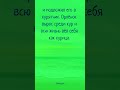 Ты орёл или курица? #притча #мотивация #окружение #личность #будьсобой #shorts #shorts_lab