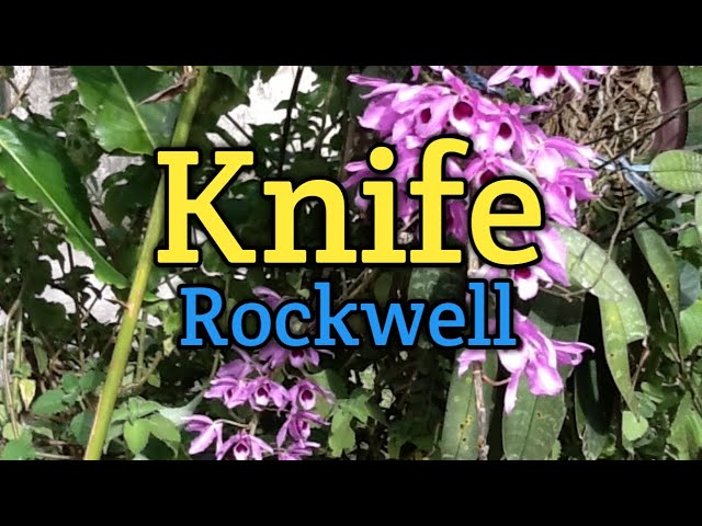 Knife - Rockwell (Lyrics Video) class=