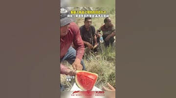 Check out the epic watermelon slicing skills of the people in Xinjiang! #xinjiang