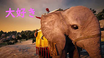 تحميل 黒い砂漠 小象 Mp4 Mp3