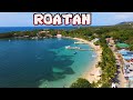 Roatán Honduras | un paraíso mágico en Centroamerica