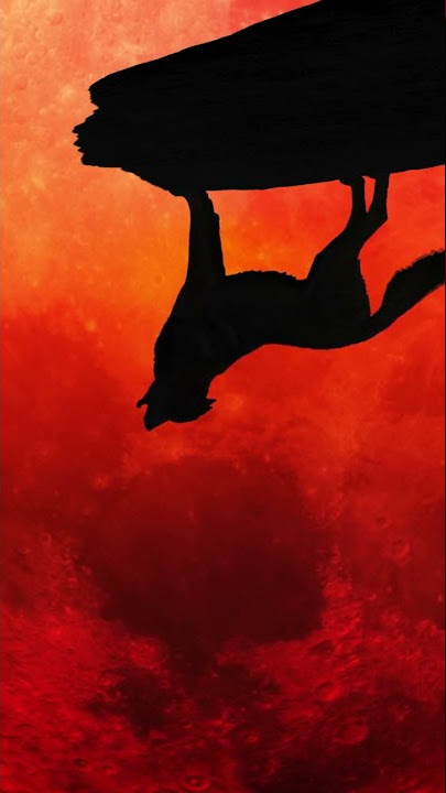 Reverse Wolf Howl Ringtone #shorts