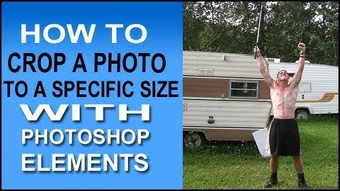 Photoshop Elements Can Quickly Crop Your Photo To Exact Size