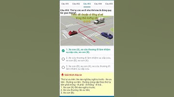 Tranh cãi chuyện ai đúng ai sai trong tình huống này 😧 #giaothong #luatgiaothong