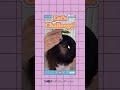 SMHヘアファンデーション！これ一本で女性の髪の毛の悩みを解決！