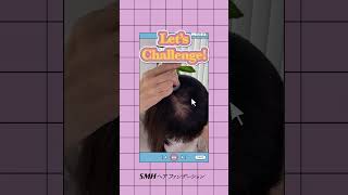 SMHヘアファンデーション！これ一本で女性の髪の毛の悩みを解決！