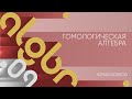 Лекция 9 | Гомологическая алгебра | Юрий Волков | Лекториум