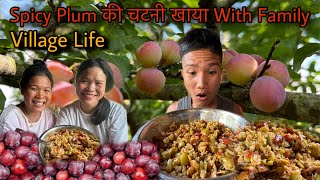 Spicy Plum 🤤 की चटनी खाया With Family 🥰 | Pregnant Wife होने का फ़ायदा 😅| My Old Life | Village Life