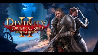 Divinity Original sin 2 первое прохождение (тактика, маги, одинокие волки)