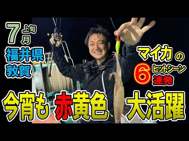 イカメタル】今宵も赤黄色のスッテが大活躍‼【オモリグ】2024/7 - YouTube