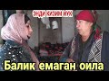 БАЛИК ЕМАГАН ОИЛА УЙИГА БОРДИК