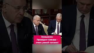 Лукашенко: Президент Алжира - очень умный человек! #shorts