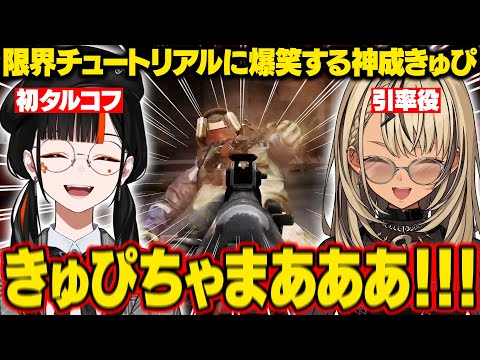 【Escape from Tarkov】タルコフ初プレイのはなびの限界チュートリアルに爆笑するきゅーちゃん【蝶屋はなび/神成きゅぴ/ぶいすぽ/切り抜き】