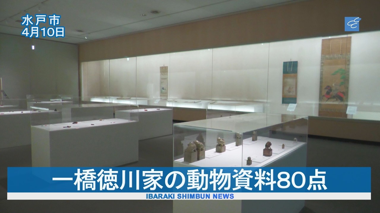 80 animal artifacts from the Hitotsubashi Tokugawa family on
