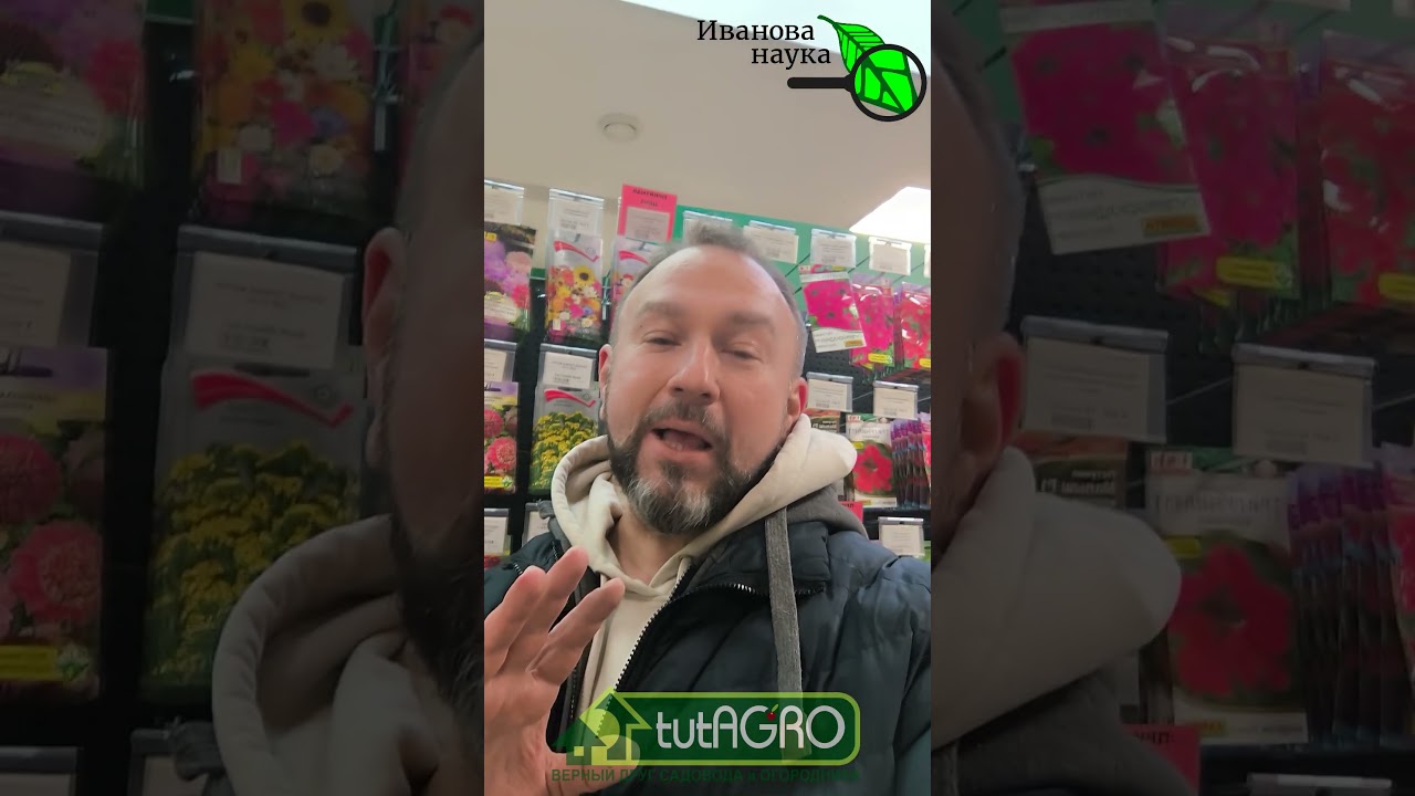 Не покупайте «пыль»! ОБАЛДЕННЫЕ ПЕТУНИИ! Где взять лучшие семена петунии? Петуния как на картинке.