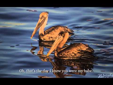 The Honeydrippers - "Sea of Love" Lyrics on screen