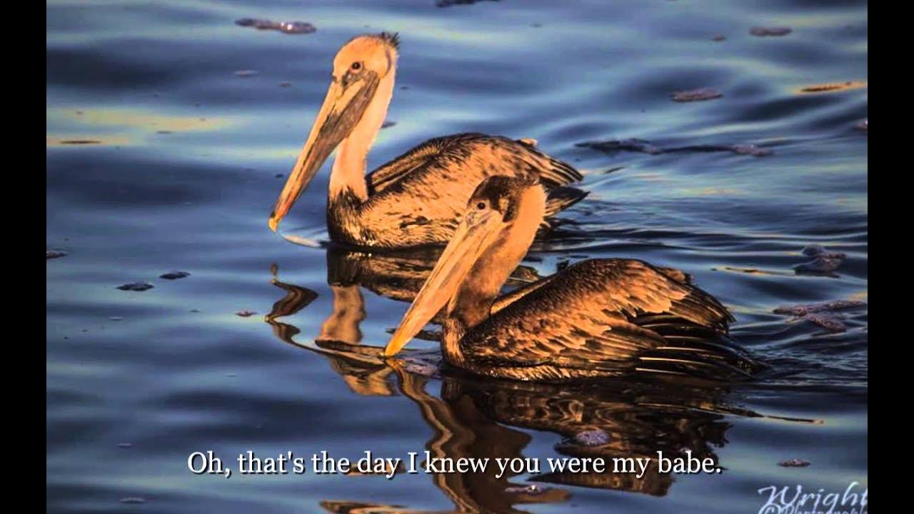 The Honeydrippers "Sea of Love" Lyrics on screen YouTube