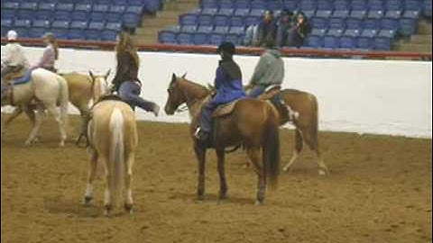 Reach Four A Double - "Brumby"     ***For up-to-date info, price, etc., go to our website***